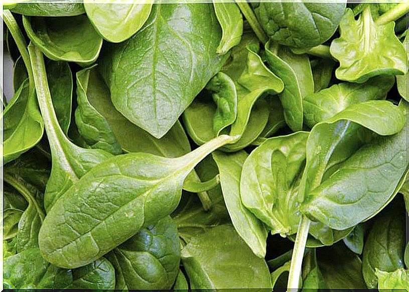 Benefits of spinach for asthma