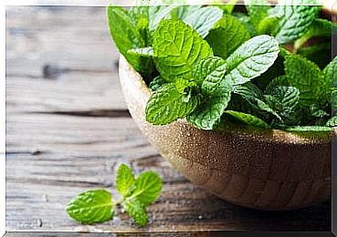 mint for asthma