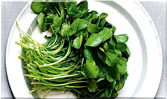 Watercress