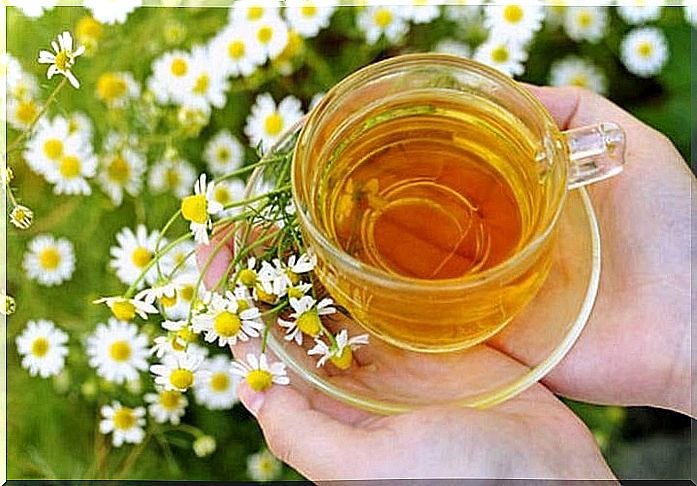 Chamomile