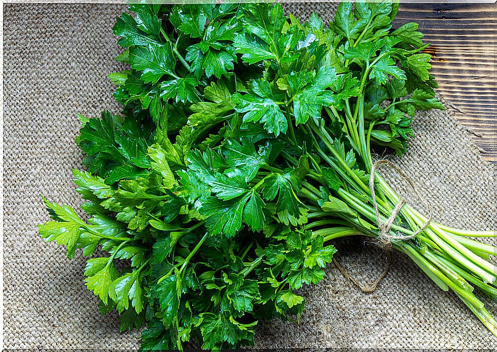 4 remedies with parsley to cleanse the bladder and urinary tract