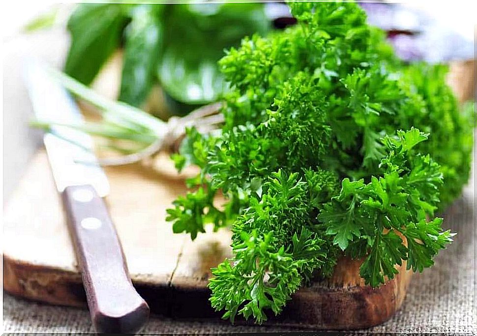 parsley to cleanse the bladder and urinary tract