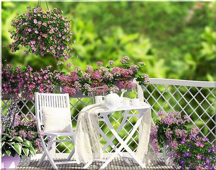 Garden terrace: terraces and green roofs