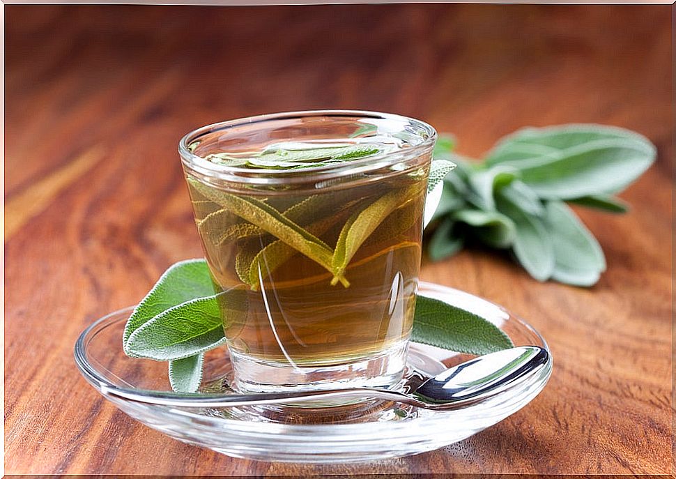 The infusion of sage can be recommended for varicose veins.