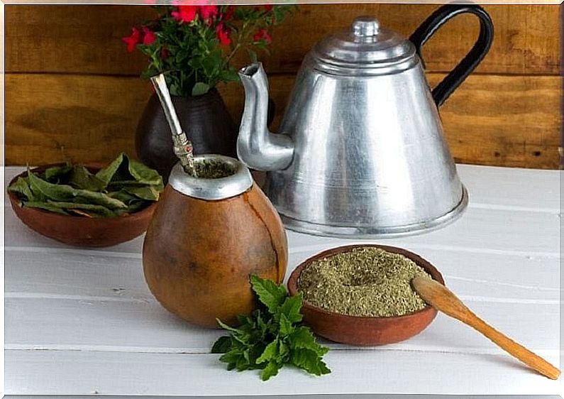 Yerba mate