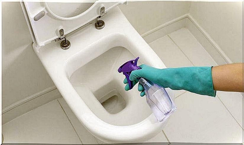 Cleaning the toilet with white vinegar