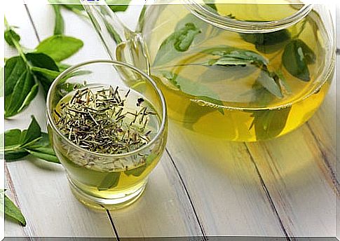 Green tea as a good alternative to speed up metabolism