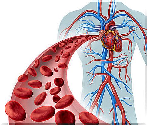 Recreation of blood vessels.