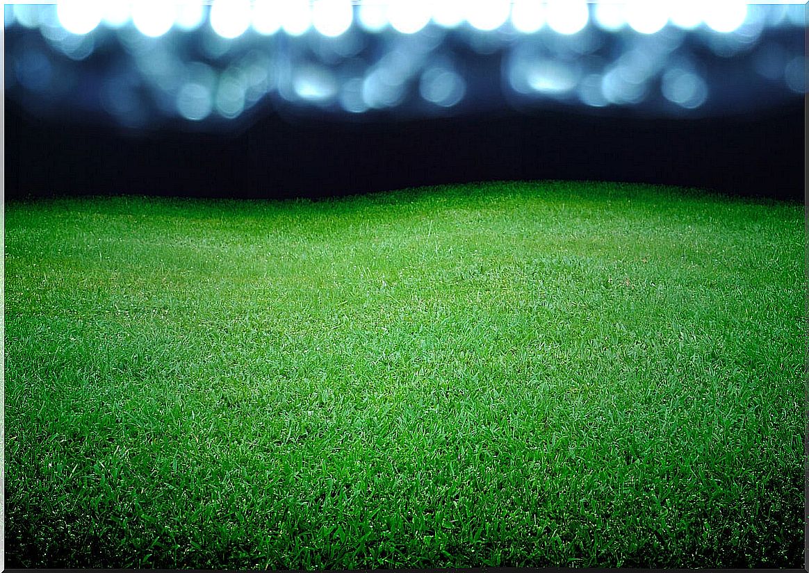 Artificial grass on a court.