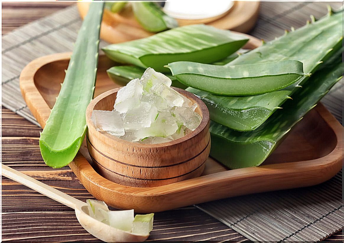 Aloe vera for burn creams.