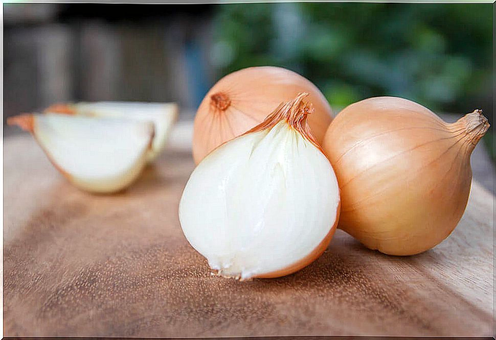 Onion