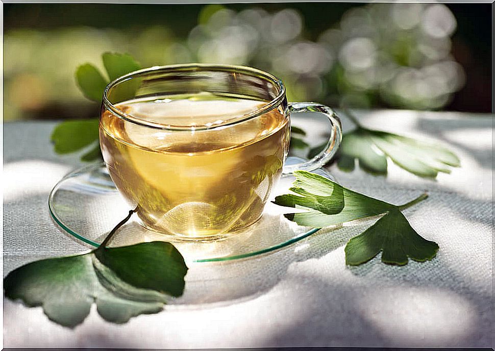 Infusion of ginkgo biloba to reduce symptoms of menopause