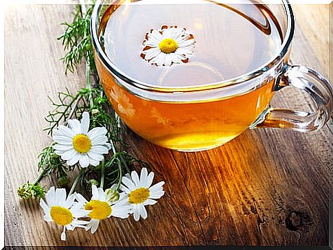 chamomile for tension headache