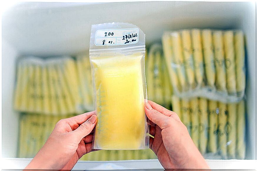 Breast milk in bags to refrigerate.