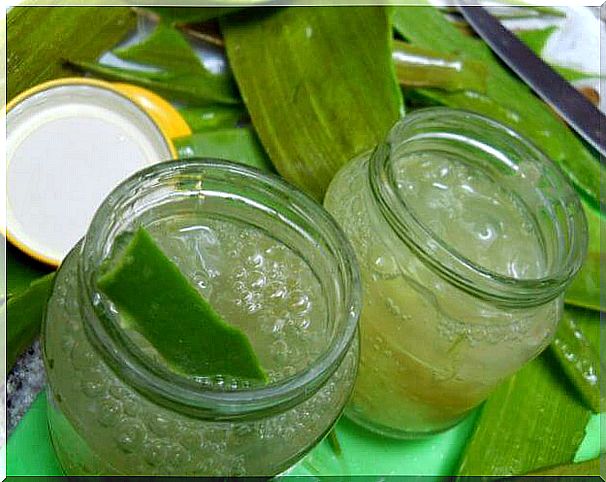 Homemade-aloe-vera-cream