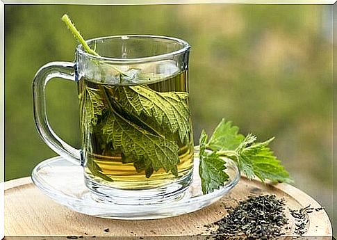 Nettle-tea