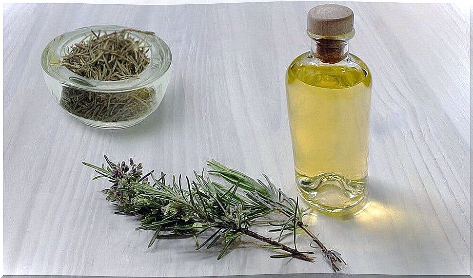 Rosemary oil