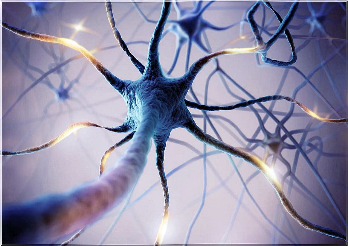 Neurons and neurotransmitters.